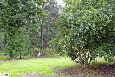 The Maples - Sydney Tourism 8
