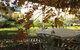 Cadogan Central Luxury - thumb 8