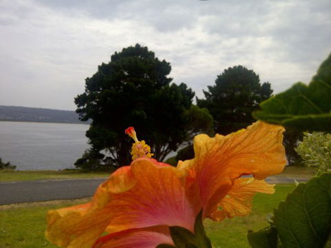 Eden Oceanview - Sydney Tourism 1