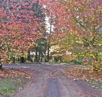 Rustic Spirit - Sydney Tourism