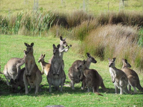 Tanja Lagoon Camp - Sydney Tourism 6