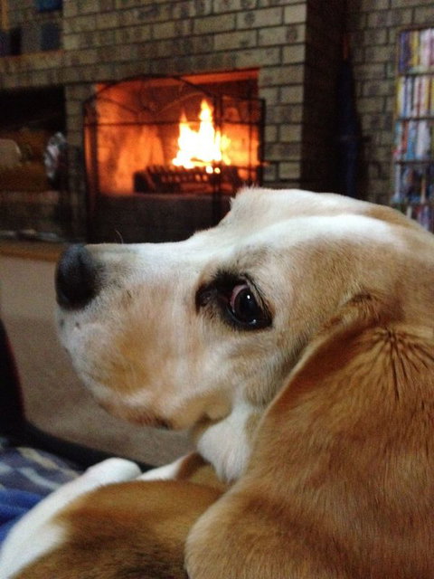 The Retreat On Matthew - Sydney Tourism 2