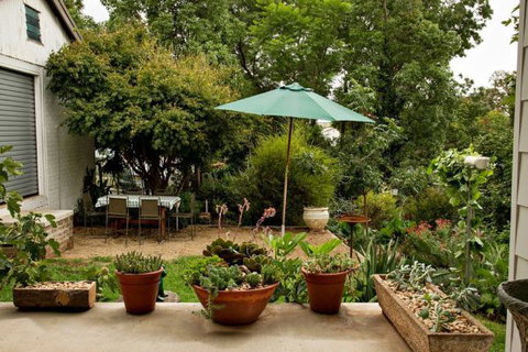 Young Garden Retreat - Sydney Tourism 4