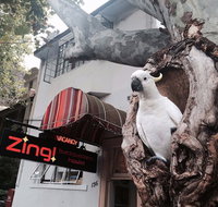 Zing Backpackers Hostel - Sydney Tourism