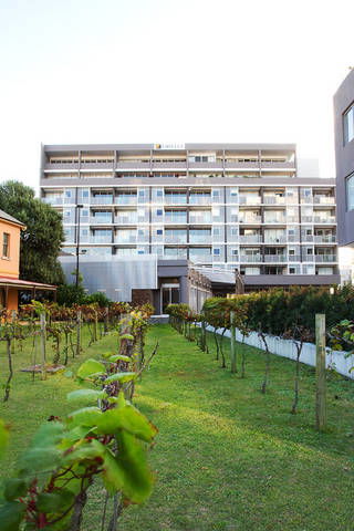 B7 Honeysuckle Apartments - Sydney Tourism 1