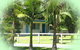 Belongil Fields - thumb 2
