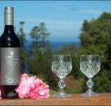 Bucks Point House - Sydney Tourism