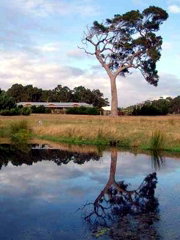 Craythorne Country House Metricup - Sydney Tourism 4