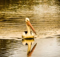 River Shack Rentals - Brenda Park - Sydney Tourism