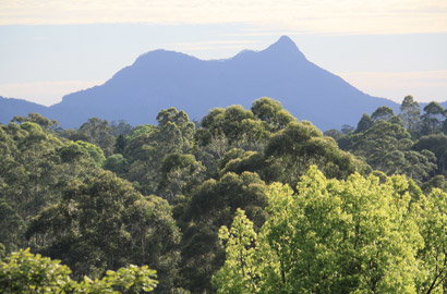 Calurla Chalets - Sydney Tourism 5