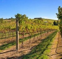 DeVine Escape - Sydney Tourism