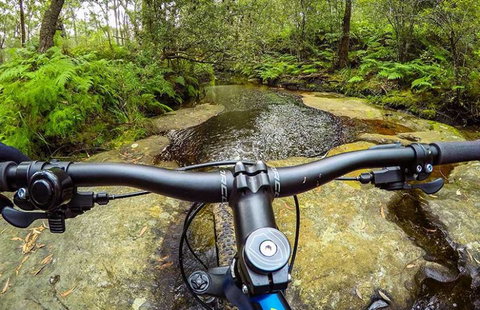 Art House Accommodation - Sydney Tourism 1