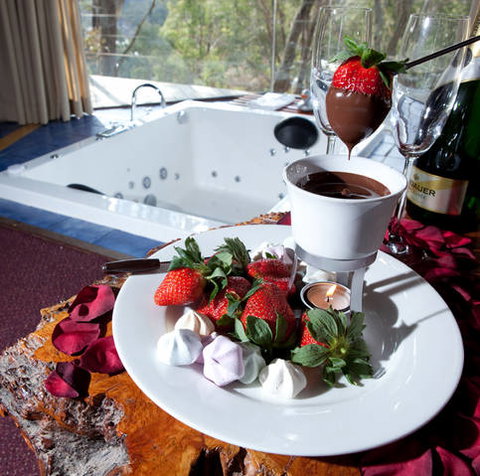 Eagle View Escape - Sydney Tourism 4