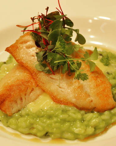 Jenolan Caves - Sydney Tourism 2