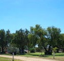 Lockhart Caravan Park - Sydney Tourism