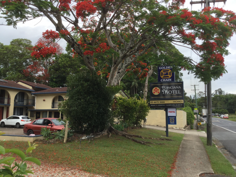 Murwillumbah Gallery Motel - Sydney Tourism 14