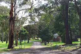 Amor VIC Sydney Tourism
