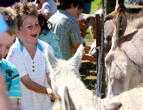 Mowbray Park Farm Stay - Sydney Tourism 2