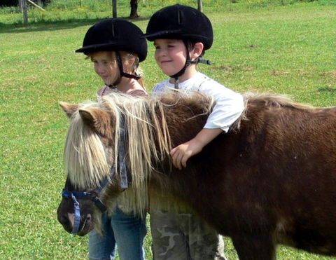 Mowbray Park Farm Stay - Sydney Tourism 3