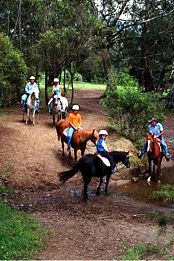 Mowbray Park Farm Stay - Sydney Tourism 5