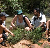 Nitmiluk Tours  Accommodation - Sydney Tourism