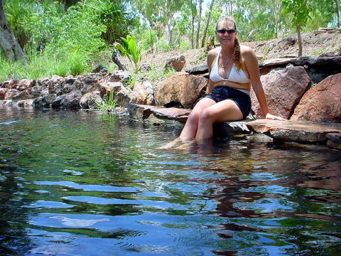 Paradise Beach Apartments - Sydney Tourism 0