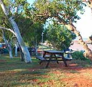 Roebuck Bay Caravan Park - Sydney Tourism
