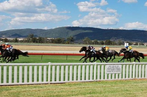 Scone Motor Inn - Sydney Tourism 1