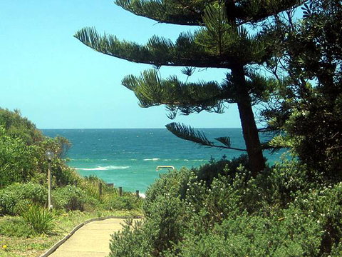 Seashells Beachfront Resort - Sydney Tourism 0