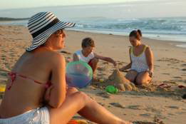 Seashells Beachfront Resort - Sydney Tourism 4