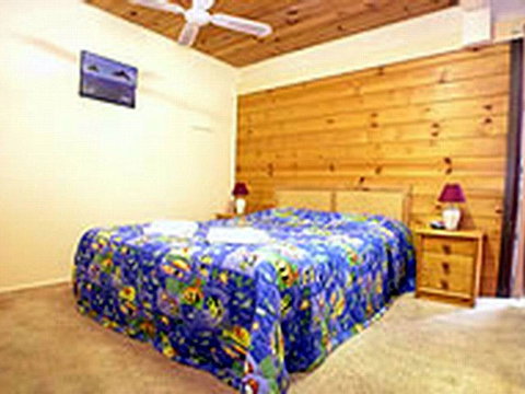 Shelly Beach Cabins - Sydney Tourism 1