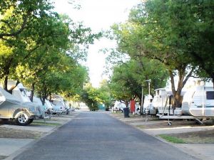 Paradise Tourist Park - Sydney Tourism 6