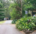 Tamborine Mountain Caravan  Camping - Sydney Tourism