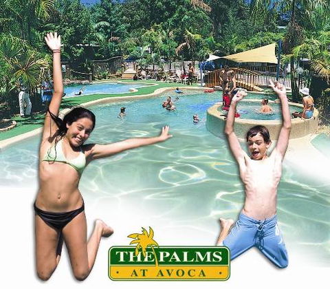 The Palms At Avoca - Sydney Tourism 3