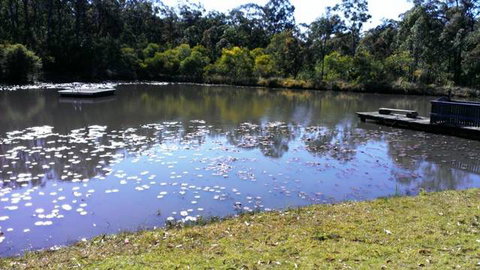 The Retreat Bushland Lodge - Sydney Tourism 3