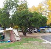 Wedderburn Pioneer Caravan Park - Sydney Tourism