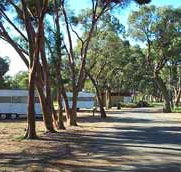 Wycheproof Caravan Park - Sydney Tourism