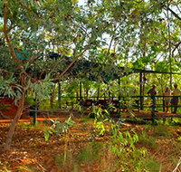 Arnhemland Barramundi Nature Lodge - Sydney Tourism