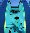 Bickley WA Sydney Tourism