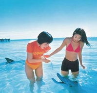 Kookaburra Air - Sydney Tourism