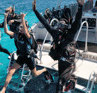 Snorkel Safari Brisbane - Sydney Tourism