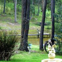 Gain Life Healing Health Retreat - Sydney Tourism 2
