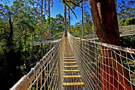  Sydney Tourism