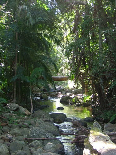Thunderbird Park - Sydney Tourism 2