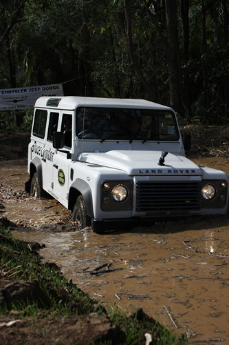Thunderbird Park - Sydney Tourism 3