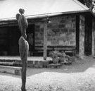 The Baldessin Press - Sydney Tourism