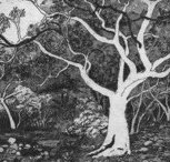 Tacit Contemporary Art - Sydney Tourism