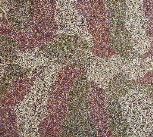 Caulfield South VIC Sydney Tourism