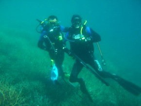 Pelican Charters - Sydney Tourism 1