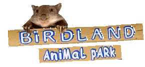 Birdland Animal Park - Sydney Tourism 0